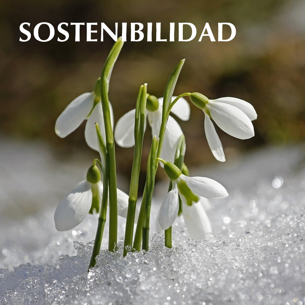 SOSTENIBILIDAD WEB