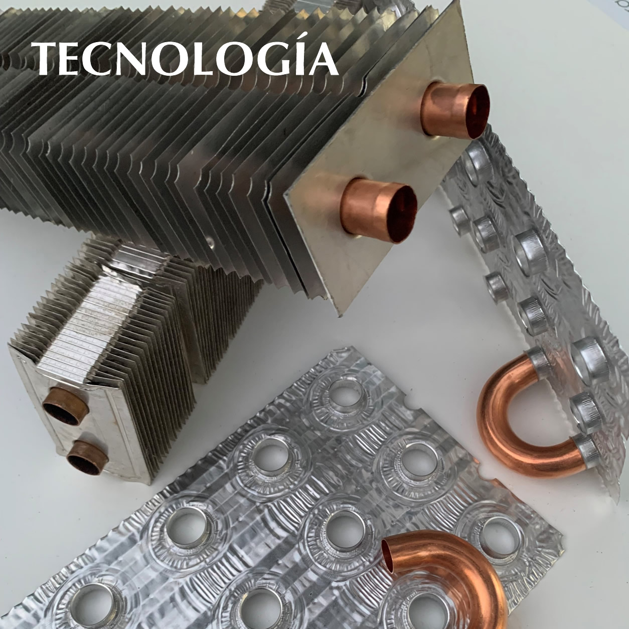 TECNOLOGÍA WEB